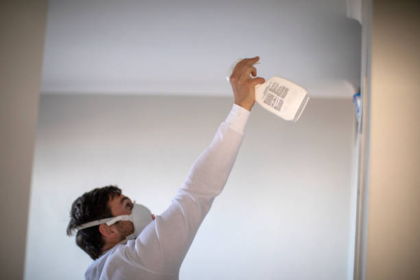 Best Mold Testing and Inspection Services in Oill, NE