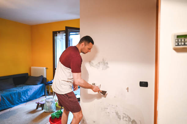 Best Residential Mold Remediation in Oill, NE